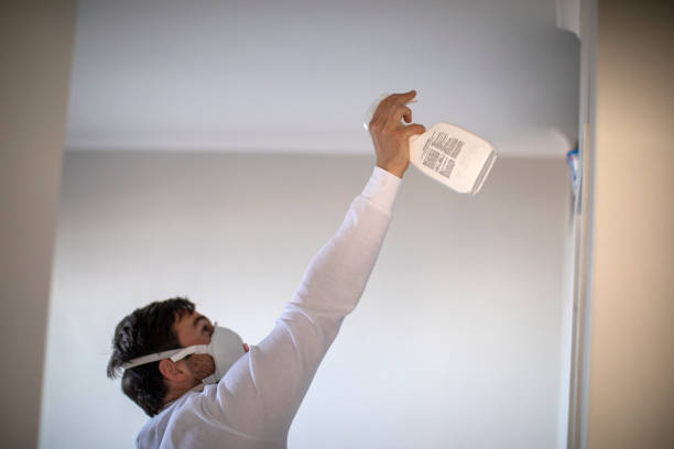 Best Fast Mold Removal  in Gonzales, TX